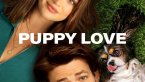 Puppy Love izle (2023)