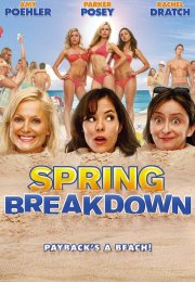 Unutulmaz Tatil (Spring Breakdown) izle (2009)